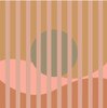Sun Stripes 1